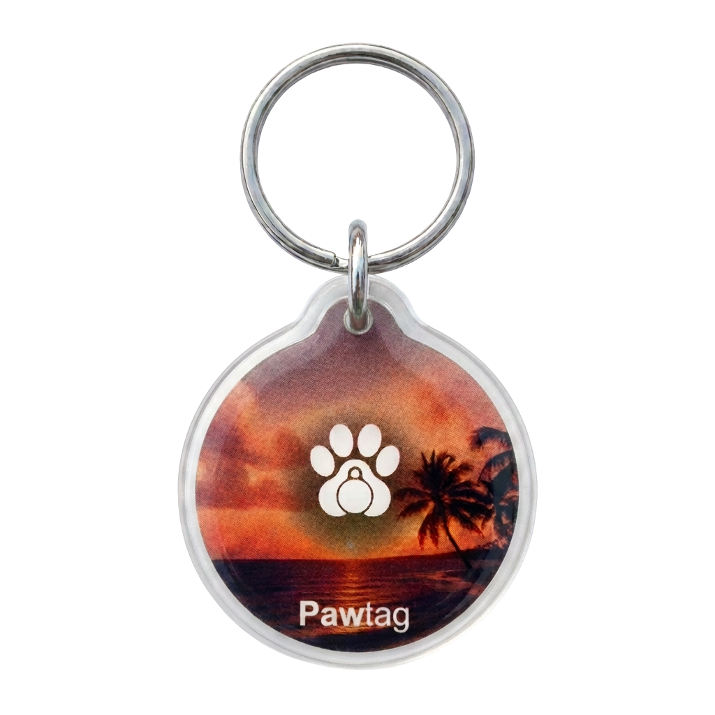 Pawtag Hundemarke Design Strand – sandfarbene Marke mit NFC und QR-Code
