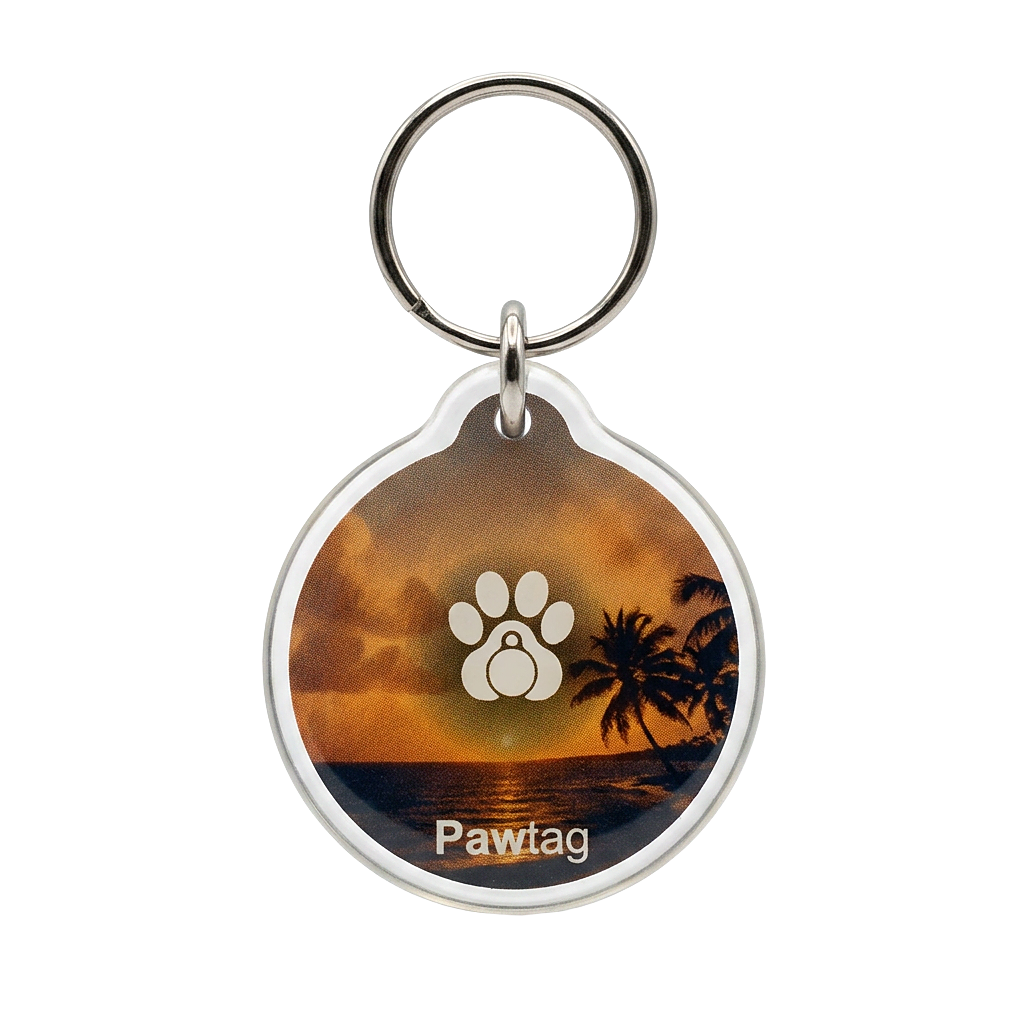 Pawtag Hundemarke Design Strand – sandfarbene Marke mit NFC und QR-Code